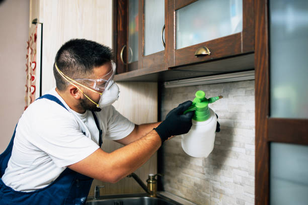 Best Pest Control Near Me  in Wellman, IA